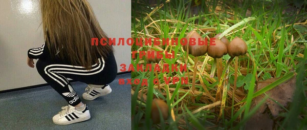 МДМА Алексин