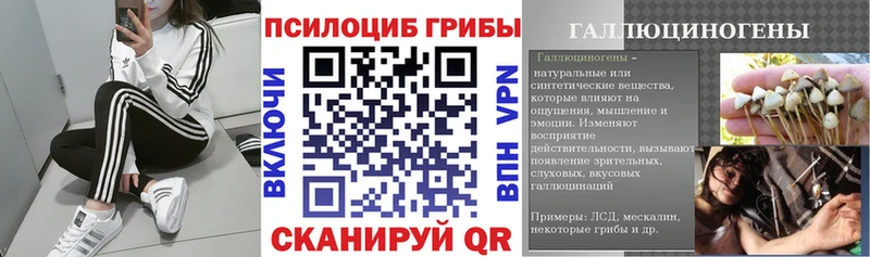 купить наркоту Пучеж блэк спрут tor Псилоцибиновые грибы мицелий