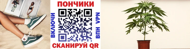 ссылка на мегу маркетплейс  Пучеж  Бошки Шишки планчик 
